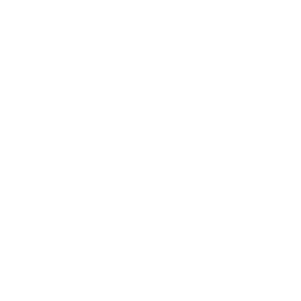 Compliance and Risk icon